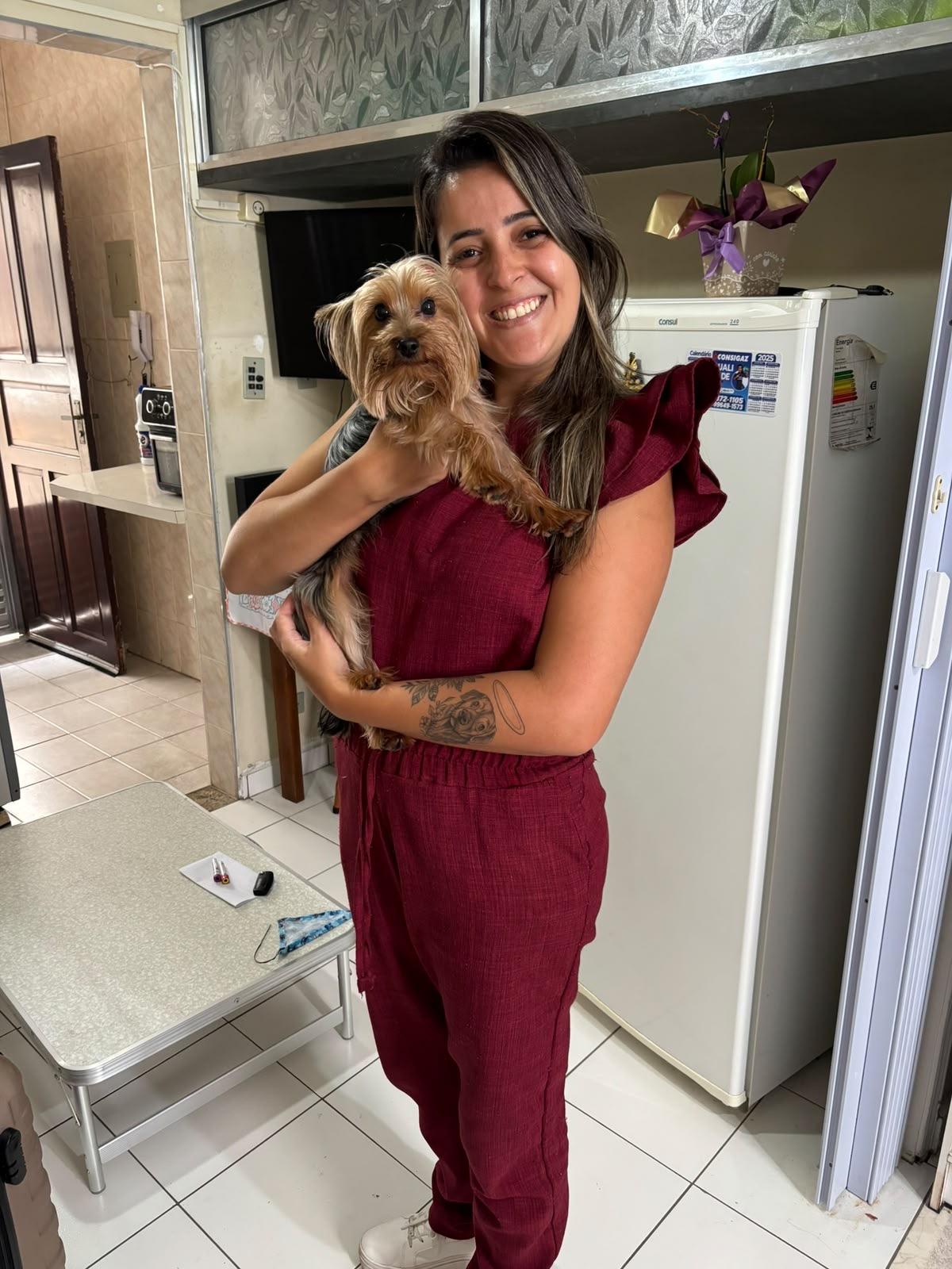 Atendimento veterinário domiciliar para cachorro na sala de casa (imagem ilustrativa)